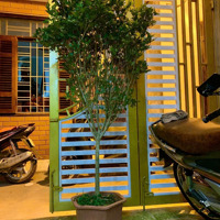 Bán Nhà Nguyễn Lương Bằng Trung Tâm Đống Đa, Sát Cạnh Ngã 5 Ô Chợ Dừa, Xã Đàn