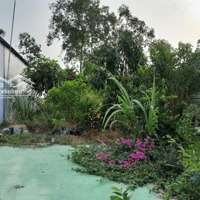 Bán Đất 240M2 Tại Xã Tân Thuận, Vĩnh Thuậm2 Tại Xã Tân Thuận, Vĩnh Thuận, Kiên Giang, Giá Bán 450 Triệu