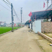 104.6M2 Trục Chính Xuân Đông Tân Minh Đường 2 Oto Tránh