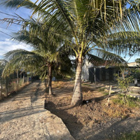 Bán Đất 155.2M2 Tại Xã Ninh Thọ, Ninh Hòa, Khánh Hòa, 950 Triệu Vnd
