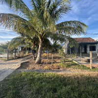 Bán Đất 155.2M2 Tại Xã Ninh Thọ, Ninh Hòa, Khánh Hòa, 950 Triệu Vnd
