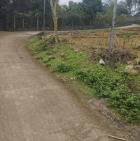 Bán Đất Tại Tiên Kiên, Lâm Thao, Phú Thọ, 630 Triệu, 120 M2 Uy Tín