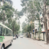 Siêu Phẩm Btlk Ở Mỹ Đình Ii. 135M2, 6T, M/Tiền 8M. Nơi Ở Của Tướng Tá Quân Đội Và Công An, Yên Tĩnh