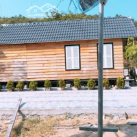 Bán Đất Tại Hòn Rớ 1, Gần Đường Tôn Đức Thắng, Xã Phước Đồng, Nha Trang, 2,5 Tỷ, 1036M2