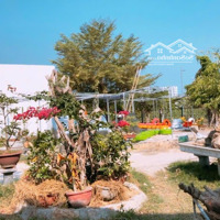 Bán Đất Tại Hòn Rớ 1, Gần Đường Tôn Đức Thắng, Xã Phước Đồng, Nha Trang, 2,5 Tỷ, 1036M2