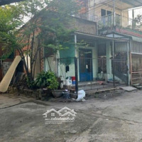 Bán Nhà Cấp 4 Phường An Bình, Biên Hòa, Đồng Nai