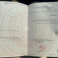 Thái Bình Mai Lâm Đông Anh 94,4m2 giá siêu đẹp 0336706721