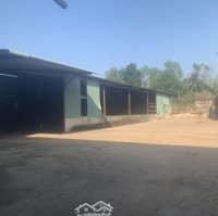Bán Kho, Nhà Xưởng Tại Xã Nha Bích, Chơn Thành, Bình Phước, 40 Tỷ Vnd, 10.000 M2
