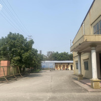 Cho Thuê 4000M2 Kho Xưởng Tại Phù Chẩn, Từ Sơn, Bắc Ninh, Giá Chỉ 52K/M2. Liên Hệ: 0902132489