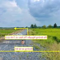 Bán Đất Tại Đường 715 Cách Nguyễn Thị Náo Chỉ 30M. Diện Tích 545M2 Giá Chỉ 1 Tỷ 150 Triệu.