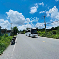 Chính Chủ Cần Bán Gấp 174,5M Full Thổmặt Tiền6M Đ.nguyễn Thị Quá, Phước Thạnh Giá Chỉ 850 Triệu