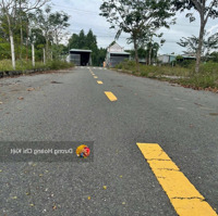 Cần Bán 135M2 Đất 500 Triệu Ngay Mặt Tiền Đường Hoàng Phan Thái - Bình Chánh , Shr ,Ngay Chợ Bình Chánh