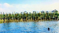 Liền Kề 80M2 Vị Trí Đẹp, Có Hầm, Giá Chuyển Nhượng Rẻ Hơn Thị Trường 25%. Chốt Sớm Để Có Giá Tốt