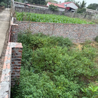 Hàng Hiếm Đất Thổ Cư Phú Sơn, Ba Vì, Hà Nội Tài Chính Nhỏ Chỉ Nhỉnh 500 Triệu. Cách Tl411C Chỉ 1Km