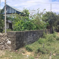 Khu Thắng Lợi, Thị Trấn Ba Hàng Đồi, Ngay Ngã Ba Rẽ Vào, Gần Trường Học C2, Gần Kcn, 50M2,Giá 450 Triệu