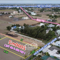 2000M2 Đất Lúa Qh Đất Ở Đô Thị 29X71 Cách Dt826 100M
