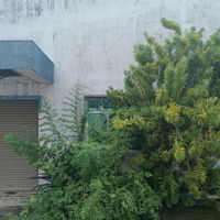 Bán Đất Có Xưởng Trên Đất, Mặt Tiền Xã Thành Triệu, Thành Phố Bến Tre