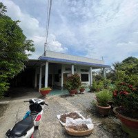 Bán 5 Công 4 Đất Lúa - Xã Lợi Bình Nhơn - Tp Tân An - Long An