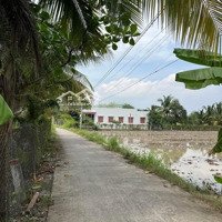 Bán 5 Công 4 Đất Lúa - Xã Lợi Bình Nhơn - Tp Tân An - Long An