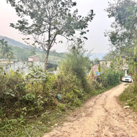 Diện Tích 1000M2 Có 400M2 Tc Còn Lại Cln Tại Kim Bôi, Hòa Bình