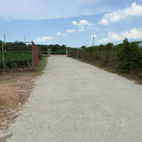 Chính Chủ Cần Bán Gấp 1,2 Ha Đất Đã Có 550M2 Thổ Cư, Kp3, P Hắc Dịch, Tp Phú Mỹ. Giá Bán 19,5 Tỷ