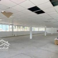 Nhà Cho Thuê Mặt Tiền Nguyễn Văn Trỗi, Quận Phú Nhuận - 8X20M, T, 4L Giá 120 Triệu