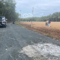 Bán 500M Đất Sổ Sẵn Thuộc Kp Phường Minh Thành Thị Xã Chơn Thành.