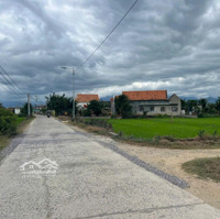 Bán Nhanh Đất Mặt Tiền Liên Xã Ninh Phụng - Ninh Trung - Ninh Đông Chỉ Hơn 600 Triệu (Bao Sổ)