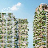 Booking Giai Đoạn 1 Căn Hộ Eco Retreat Long An, Ưu Đãi Booking Tại Sàn Siêu Hấp Dẫn