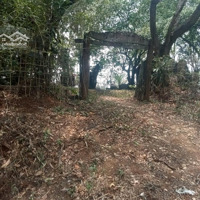 Bán Đất Tại Đường Tỉnh Lộ 675 Thôn Đăk Rơ De, Xã Ngok Bay Tp Kon Tum ,Gần Khu Du Lịch A Biu 85 Triệu/M