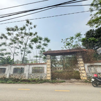 Bán Đất Đẹp Tại Đường Lam Sơn, Đồng Tâm, Vĩnh Yên, Vĩnh Phúc, 20 Tỷ, 1062 M2
