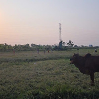 Bán Đất Tại Thôn Bình An, Hàm Chính, Cách Phan Thiết 7Km, Sát Đường Nhựa, Gần Chợ