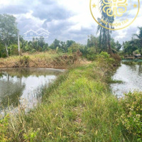 Đất Vuông Giá Rẻ Có Kèm Đất Vườn Thổ Cư