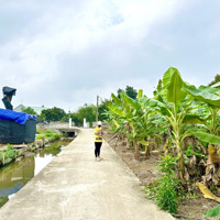Ngay Sau Trường Mầm Non Xã Bát Trang - An Lão
