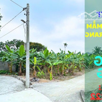 Ngay Sau Trường Mầm Non Xã Bát Trang - An Lão