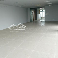 Cho Thuê Văn Phòng Trần Phú, Hà Đông 3000M2, Giá Thuê 190 Nghìn/M2/Th, Miễn Phí Ngoài Giờ