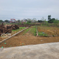 Chị Gái Tôi Nhờ Bán Gấp Lô Đất 152M2Mặt Tiền9.6M Tại Mai Trung - Hiệp Hòa - Bg, Giá Hơn 400 Triệu