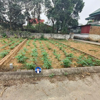 Đất Thổ Cư Bình Yên, Thạch Thất, Hn, 62.8M2,Mặt Tiền5.22M, Ôtô Đỗ Cửa, 2.5 Tỷ
