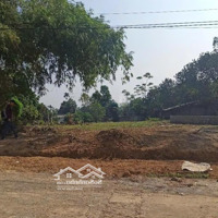 Chính Chủ Bán Đất Nhuận Trạch, Gần Khu Công Nghiệp Lương Sơn