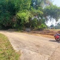 Chính Chủ Bán Đất Nhuận Trạch, Gần Khu Công Nghiệp Lương Sơn
