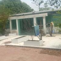 SỞ HỮU LÔ ĐẤT DT 5.145,3M2, THỔ CƯ 100M2, GIÁ TỐT NHẤT XÃ CHÂU PHA, PHÚ MỸ, BÀ RỊA-VŨNG TÀU