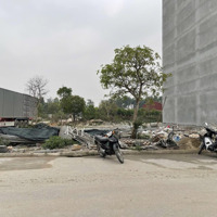 Bán Đất Đấu Giá Bắc Giang, Gần Khu Công Nghiệp Việt Hàn