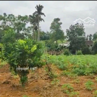 Hơn 300 Tr Là Có Ngay 1200 M2 Cao Thoáng Bám Suối, View Cánh Đồng, Săn Mây Cực Đẹp Tại Tân Lạc