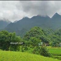 Hơn 300 Tr Là Có Ngay 1200 M2 Cao Thoáng Bám Suối, View Cánh Đồng, Săn Mây Cực Đẹp Tại Tân Lạc