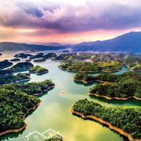 Chính Chủ Cần Bán Gấp Đất Tại Tp Gia Nghĩa, Giá Bán 4 Triệu
