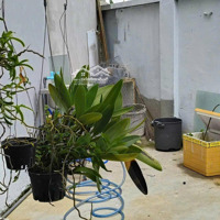 Bán Đất Tặng Nhà Cấp 4, P. Tam Phú, Thủ Đức