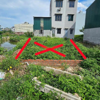 Bán Đất Tại Khu Đất Dịch Vụ Yên Vĩnh 7,65 Tỷ, 58,8 M2, Mặt Tiền 3,65M, Pháp Lý Sổ Hồng