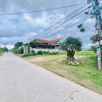 Sở Hữu Lô Đất Đẹp Tại Ninh Thọ - Ninh Hòa Ngay Khu Kinh Tế Vân Phong - Cơ Hội Đầu Tư Trong Tầm Tay