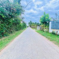 Sở Hữu Lô Đất Đẹp Tại Ninh Thọ - Ninh Hòa Ngay Khu Kinh Tế Vân Phong - Cơ Hội Đầu Tư Trong Tầm Tay