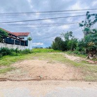 Sở Hữu Lô Đất Đẹp Tại Ninh Thọ - Ninh Hòa Ngay Khu Kinh Tế Vân Phong - Cơ Hội Đầu Tư Trong Tầm Tay